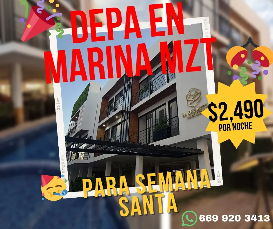 Contenido 2